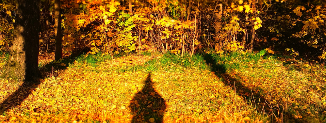 Ha boszorkány lennék